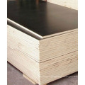 matt finish film faced plywood standard size philippines